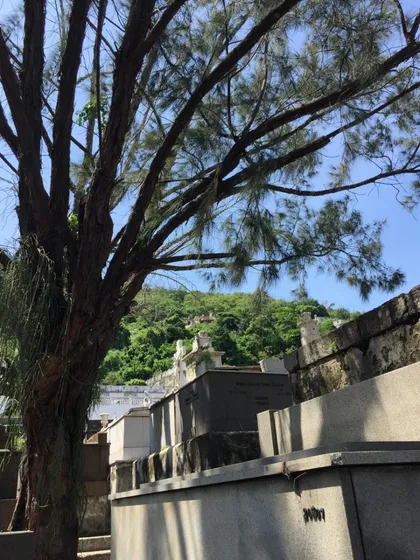 Jazigo Perpétuo À Venda - Cemitério São João Batista - Rj | Localização Privilegiada, Granito Premium