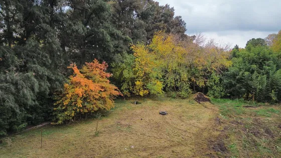 Terreno En La Esmeralda, Nuevo Emprendimiento En Yei Pora