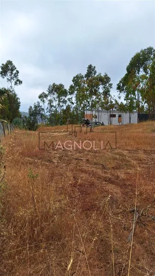 Casa En Venta De 1 Dorm 1 Baño, Topocalma, Puertecillo