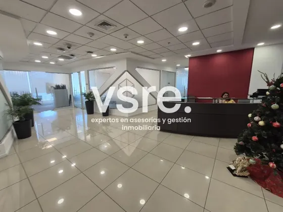 Increíble Planta Completa Habilitación Premium - Sanhattan