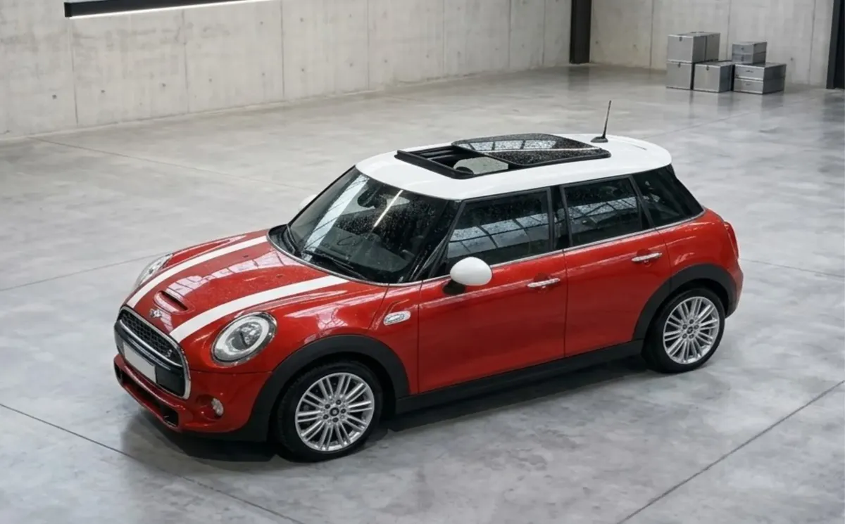Miniatura 9
