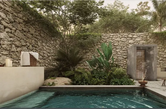 Departamento Con Alberca Privada Y Gran Patio De 60 M2, Gale