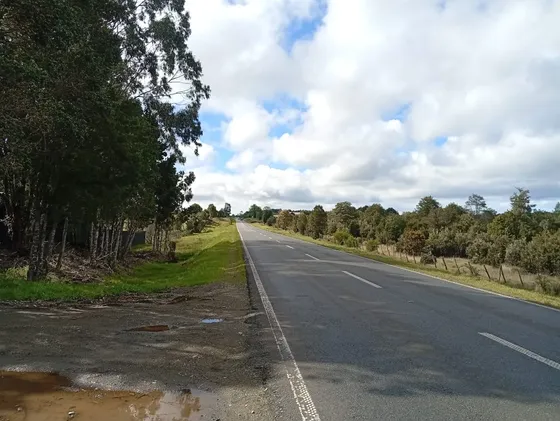 Venta Terreno - Sitio 5000mts Maullín
