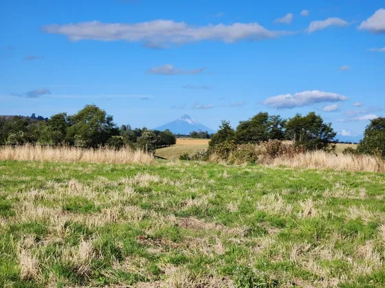 Se Vende Parcela En Llanquihue