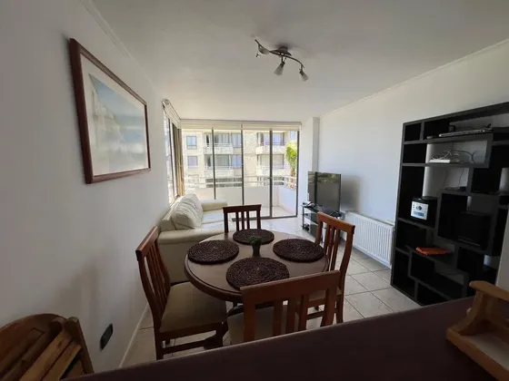 Arriendo Departamento Amoblado Primera Linea Avda Del Mar