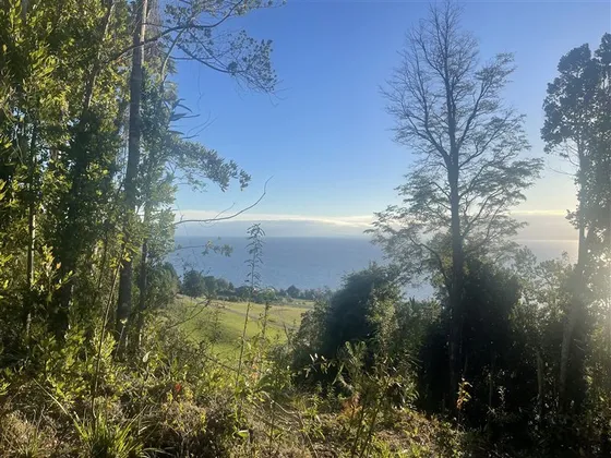 Parcela En Venta En Puerto Octay, Sector Las Cascadas