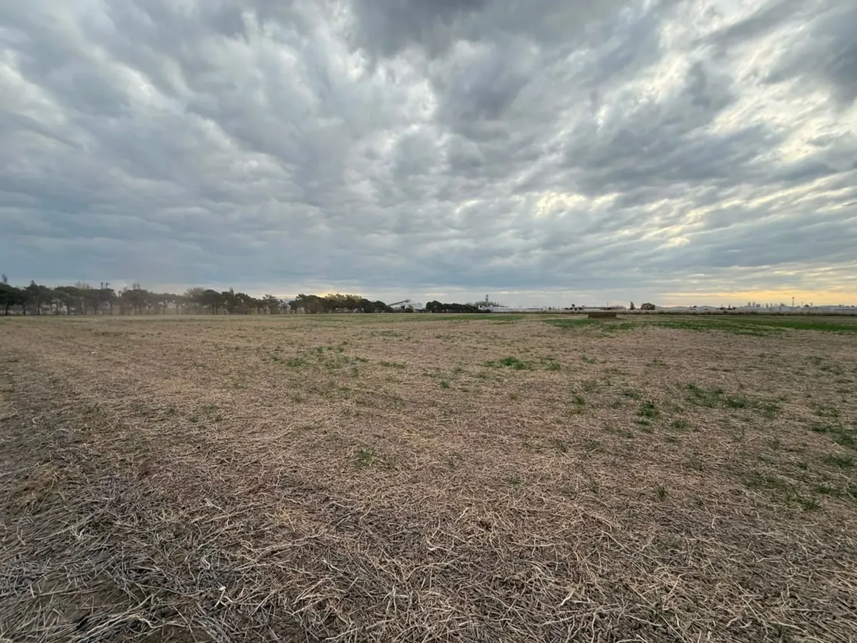 Sale of 6 Hectares in Industrial Park Area
