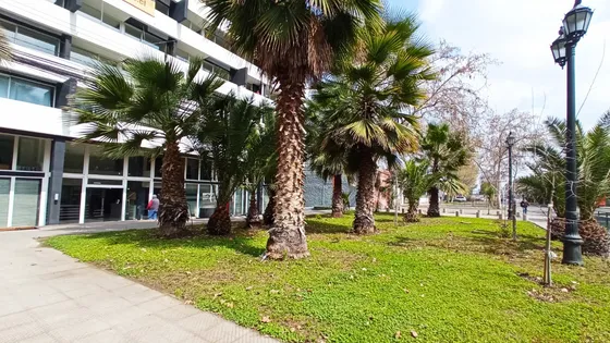 Excelente Conectividad Metro Rondizzoni Santiago 