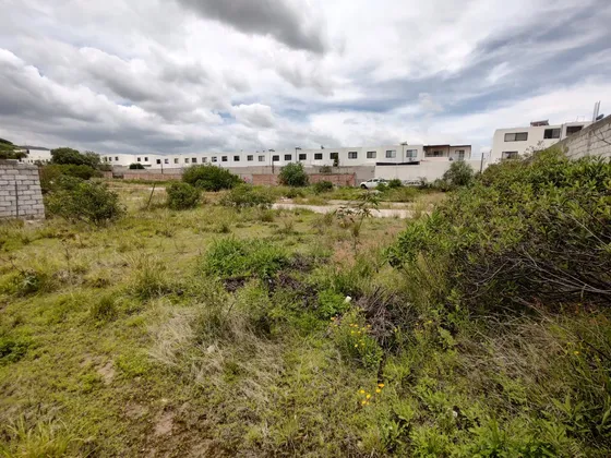 Terreno En Venta Junto Al Condado 