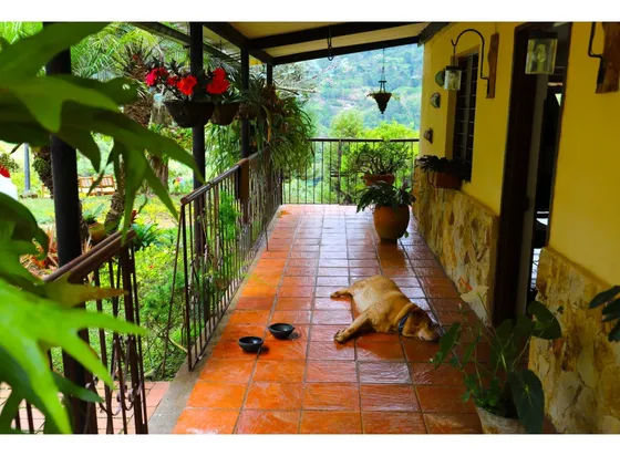 Venta Finca La Elvira Cali