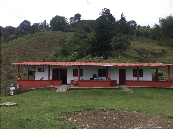 Se Vende Finca De 21 Cuadras En Córdoba