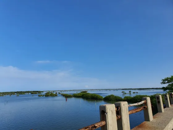 Terreno En Venta Con Frente A La Playa En Ubicado En Oaxaca
