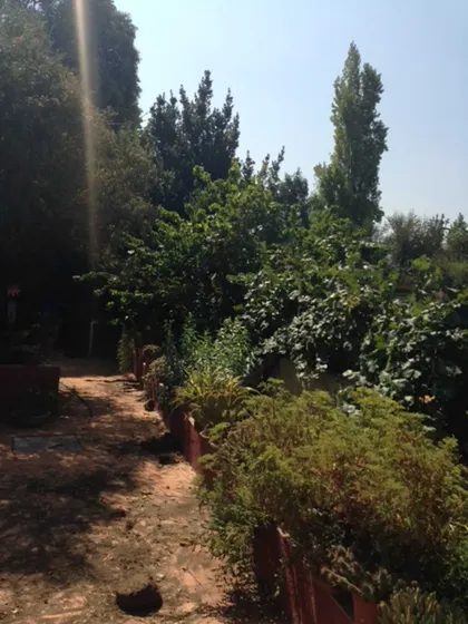 Excelente Parcela Con Casa (161842)