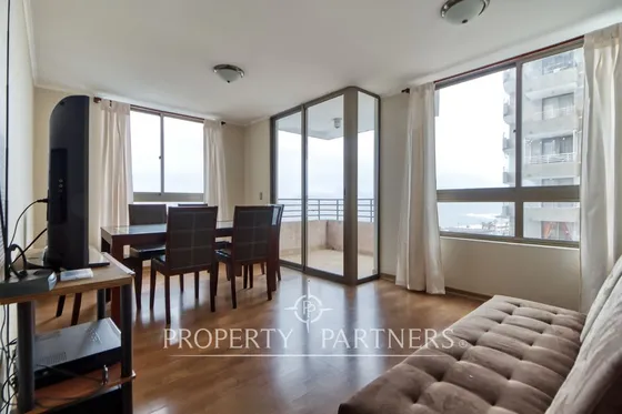 Arriendo Departamento Frente A Espacio Urbano Y Mu...