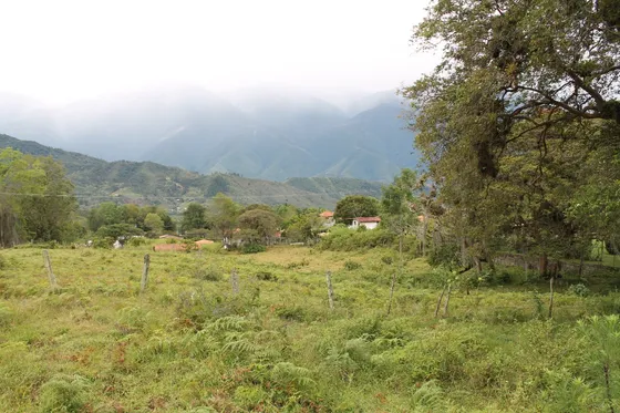 Terreno En Venta De 1033,72 M2 Sector El Playon Alto, El Valle. Mérida.