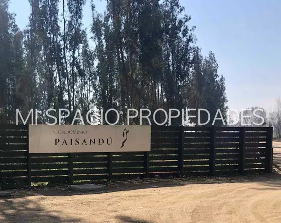 Camino San José- Camino Carampangue - Paisandú 