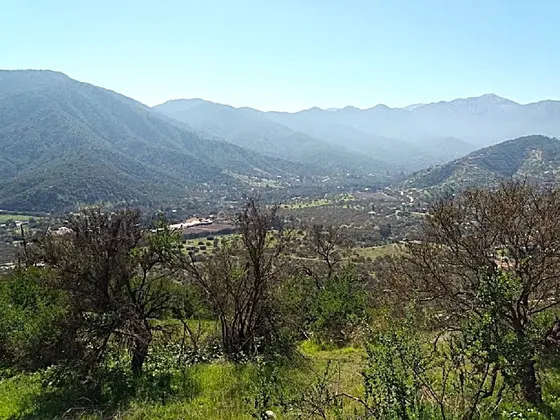 Parcela Condominio Bosques Miraflores Curacaví