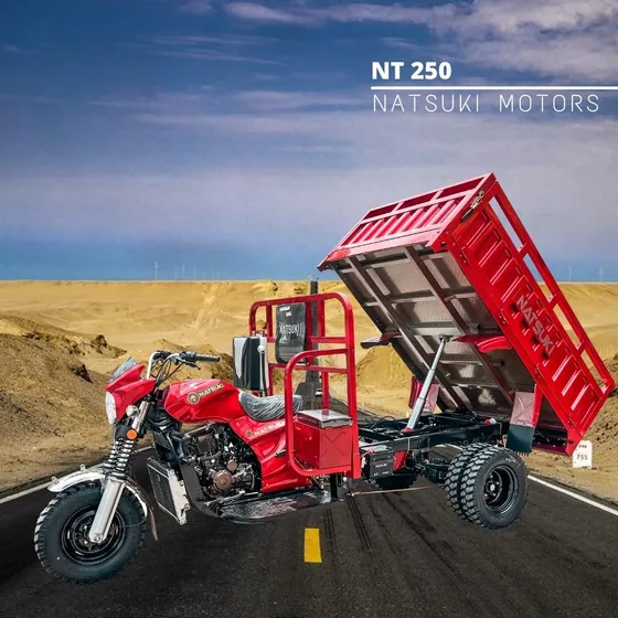 Motocarro Con Gato Hidráulico Natsuki  2025