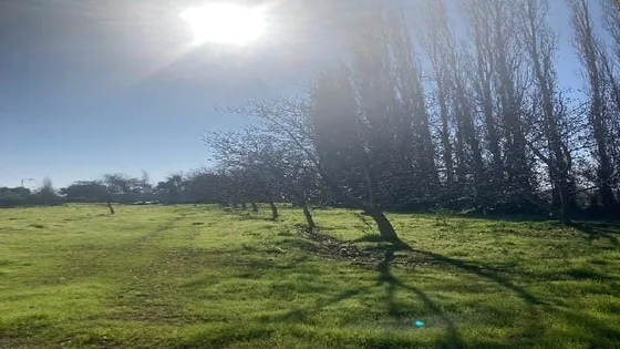 Se Vende Parcela En Rinconada De Los Andes