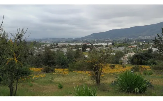 E9421460- Venta Sitio Calle Jimenez/ Balmaceda- Limache