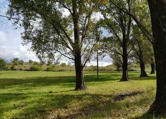 Lotes En El Buen Aire - Ascochinga - 10.000 M2