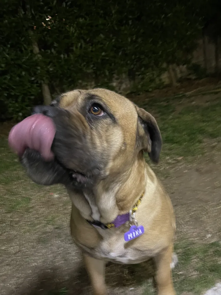 Foto del producto compartida por el comprador 1 de 8