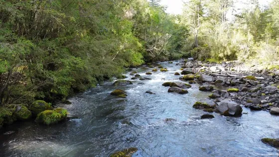 Terreno En Venta Cercano A Cascada