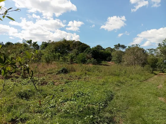Venta De Terreno Guazara De Barahona