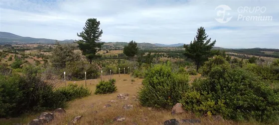 En Venta, 25 Há, San Javier, Ideal Para Inveresión