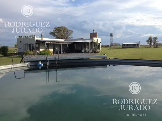 Lindisimo Campo En Venta San Antonio De Areco Con Costa De Rio