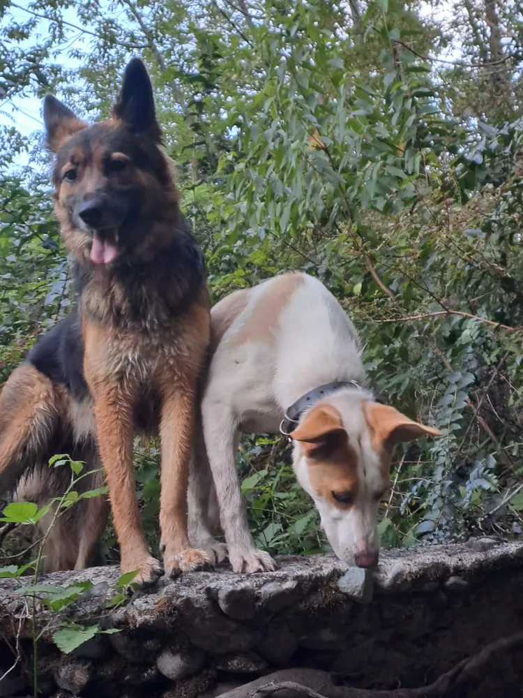 Foto del producto compartida por el comprador 2 de 2