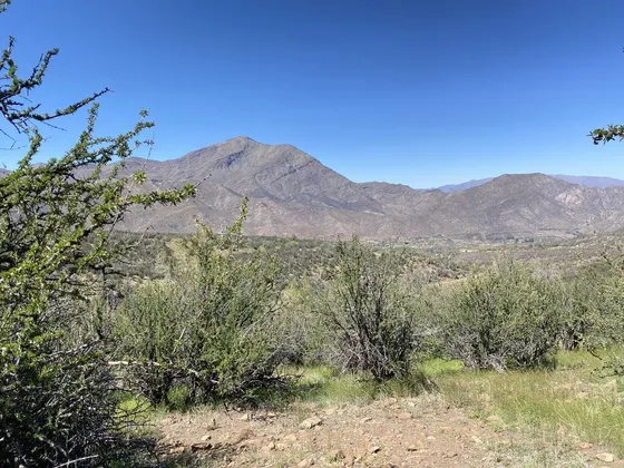 Parcela En Venta En San Francisco De Los Andes