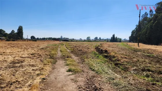 Sitio En Venta En Ruta 5 Sur Curicó