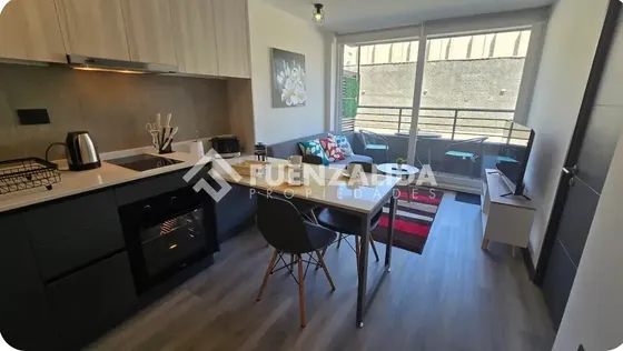 Departamento En Arriendo De 1 Dorm En Suite, Amob. En Ñuñoa