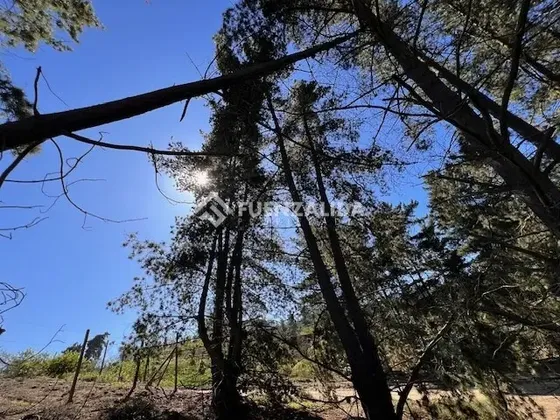 Sitio En Venta En Sector Los Pinos -reñaca
