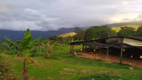 Terreno -  Finca  En  Bejuma - Canoabo  Carabobo. L.m
