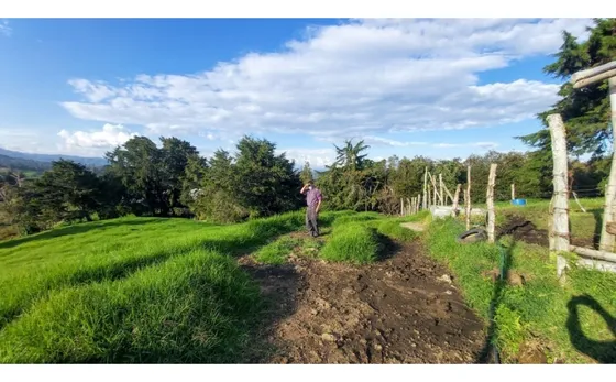 L-110 Lote Independiente (rionegro - Sector Alto De Los Linderos)