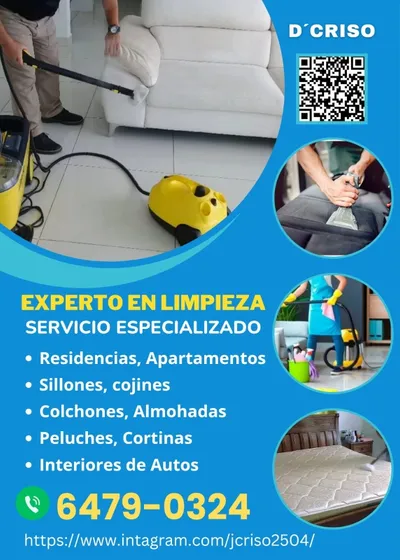 Lavado De Desinfección De Sillones Colchones Inter. Autos