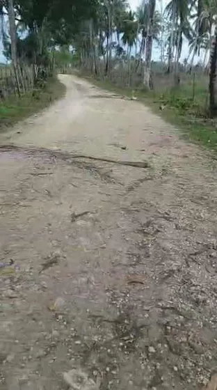 Título Original