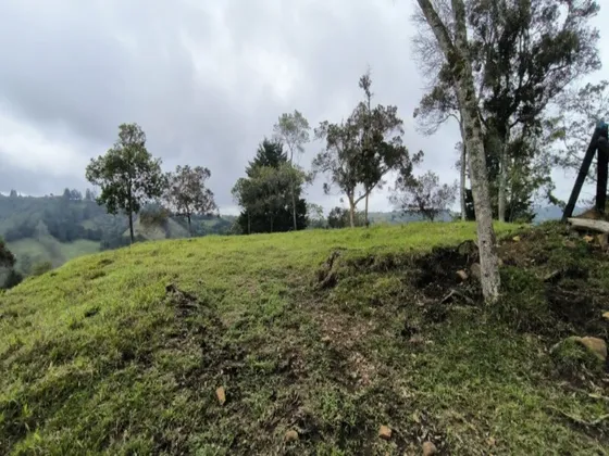  Lote En Venta Ubicado En Santa Elena Sector Vereda La Honda (27368).