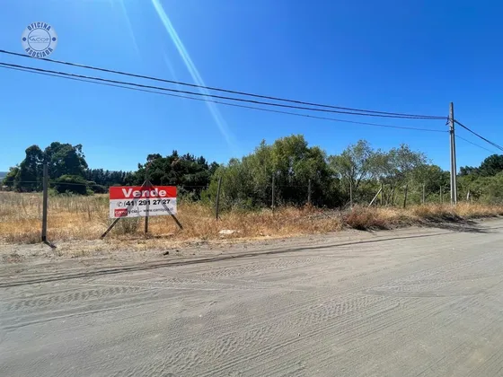 Sitio En Sector Villa Italia - Coronel