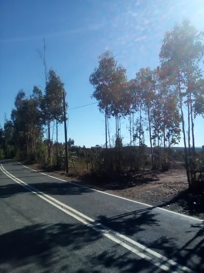 Parcela Rural Plana