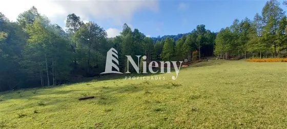 Sitio En Venta En Vilcún