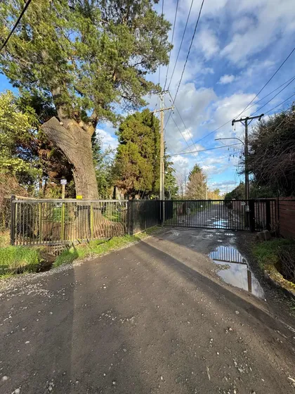 Vendo Parcela/sitio 5000m2 Camino Al Peral Km.1