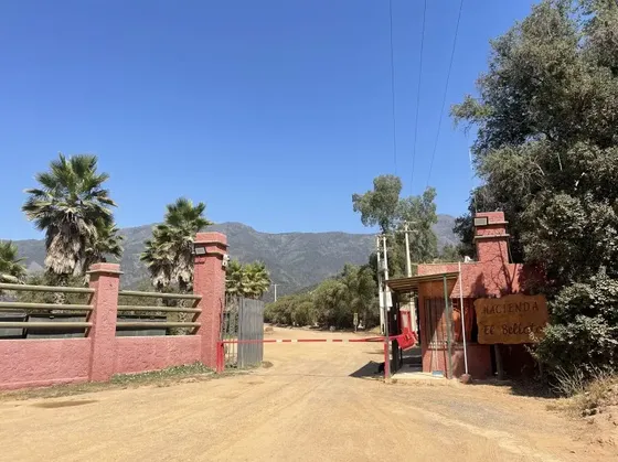 ¡rebajada! Hermosa Parcela Plana Con Agua Y Luz En Aculeo