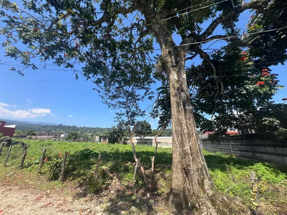 Terreno En Venta En Xico