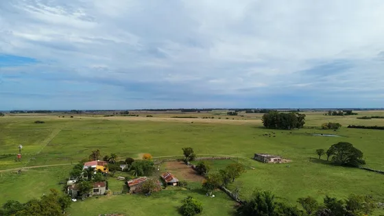 Destacado Campo Agricola- Ganadero, Salto , Gran Productividad, Coneat 130