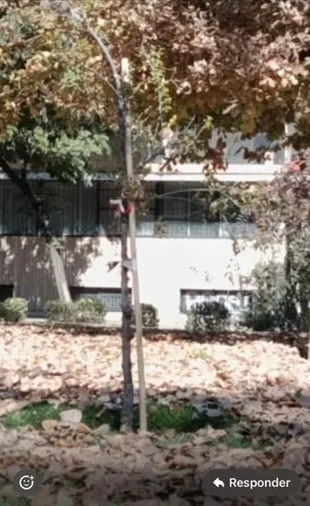 Vende Departamento 3 Dormitorio Y 2 Baños , Barrio Lastarria