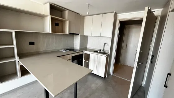 Departamento Vicuña Mackenna