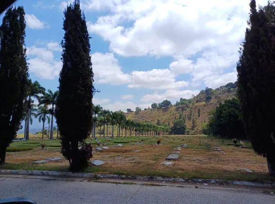 Cementerio Del Este, Parcelas